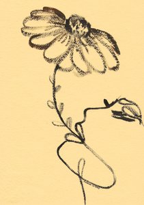 Organic Flower Sketch