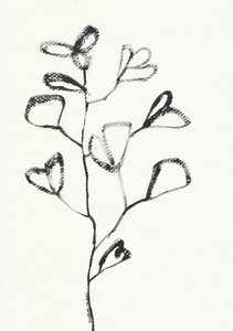 Organic Leaf Drawing by Santhosh ch