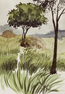 Peaceful Green Fields