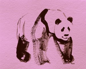Pink Panda Brushstrokes