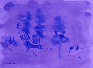 Purple Haze Pines