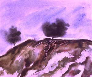 Purple Hillside Roots