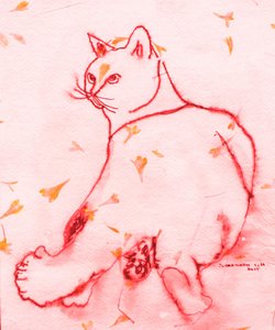Red Cat Looking Back