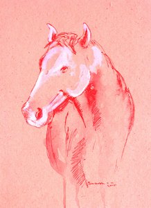 Red Horse Sketch