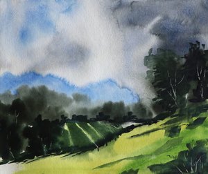 Serene Stormy Landscape