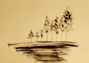 Serene Tree Reflection