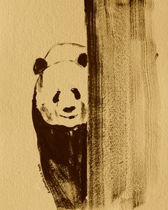 Shy Panda Peeking
