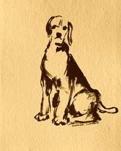 Sitting Beagle Sketch