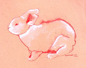 Sweet Little Rabbit