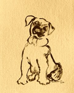 Sweet Puppy Sketch