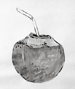 Tropical Coconut Drink by Santhosh ch