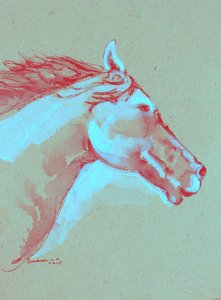 Vibrant Horse Head
