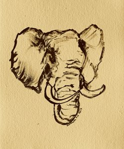 Wild Elephant Drawing