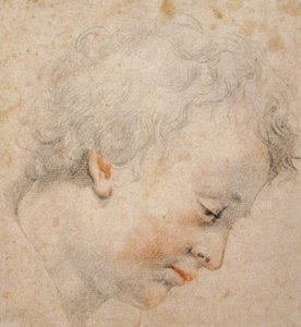 Head of a Young Man in Profile to the Right by Santi di Tito