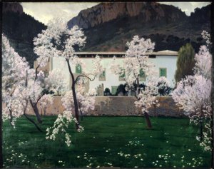 Blooming Almond Trees