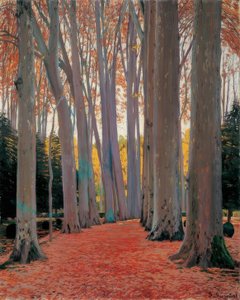 Plane Tree Avenue