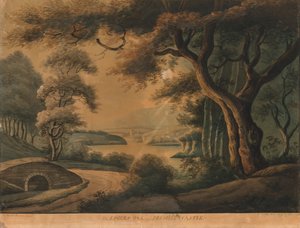 The Lovers Oak near Delville Castle by Sarah Broome