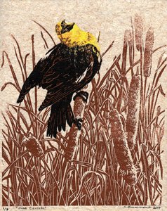 Cattail Cantata by Sarah Drummond