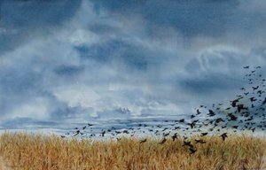 Time to Go by Sarah Drummond