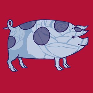 Piddle Valley Pig