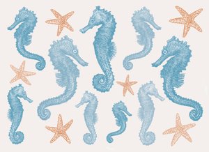 Seahorses and Starfish, 2017 by Sarah Hough