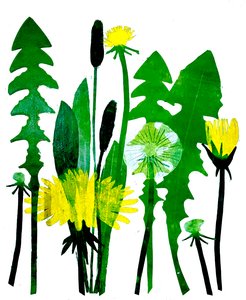 Dandelions