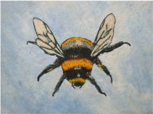 Bumble Bee, 2015 by Sarah Thompson Engels