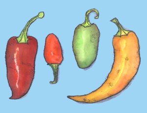 Chilli Peppers