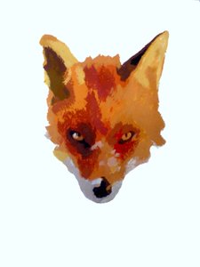 Fox Face
