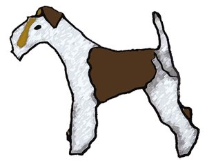 Fox Terrier