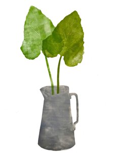 Grey Jug with Leaves by Sarah Thompson Engels