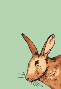 Hare