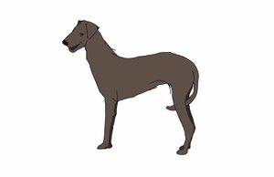 Hound, 2018