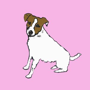 Jack Russell