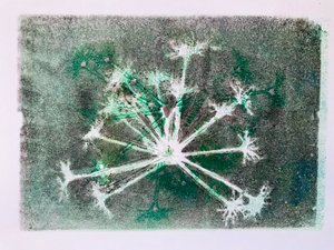 Seedhead I, 2020
