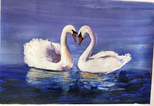 Swans