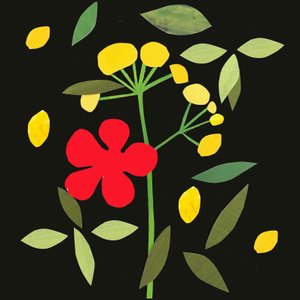 Petals and Leaves