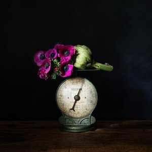 Anemones on Vintage Scale by Saskia Dingemans