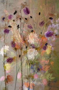 Dreamy Floral Garden by Saskia Dingemans