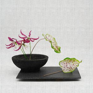 Elegant Botanical Arrangement by Saskia Dingemans