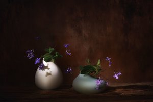 Floating Purple Blooms by Saskia Dingemans