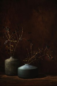Moody Botanical Vases