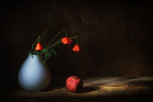 Moody Poppies and Pomegranate by Saskia Dingemans