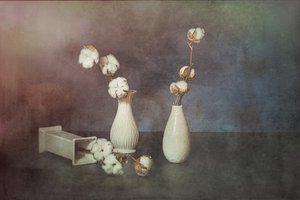 Natural Cotton Vases by Saskia Dingemans