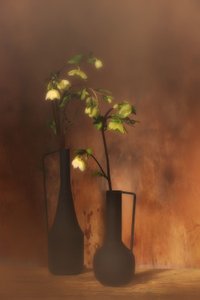Quiet Floral Elegance by Saskia Dingemans