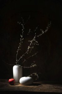 Rustic Still Life Apple