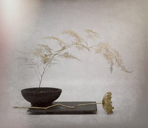 Serene Dried Botanical by Saskia Dingemans