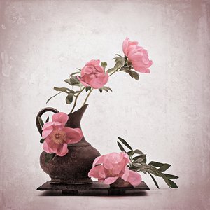 Soft Pink Peonies by Saskia Dingemans