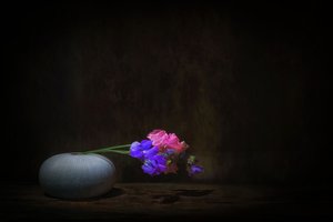 Vibrant Sweet Pea Still Life by Saskia Dingemans