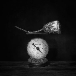 Vintage Artichoke Scale by Saskia Dingemans